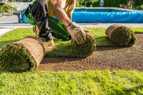 Grass turf installation