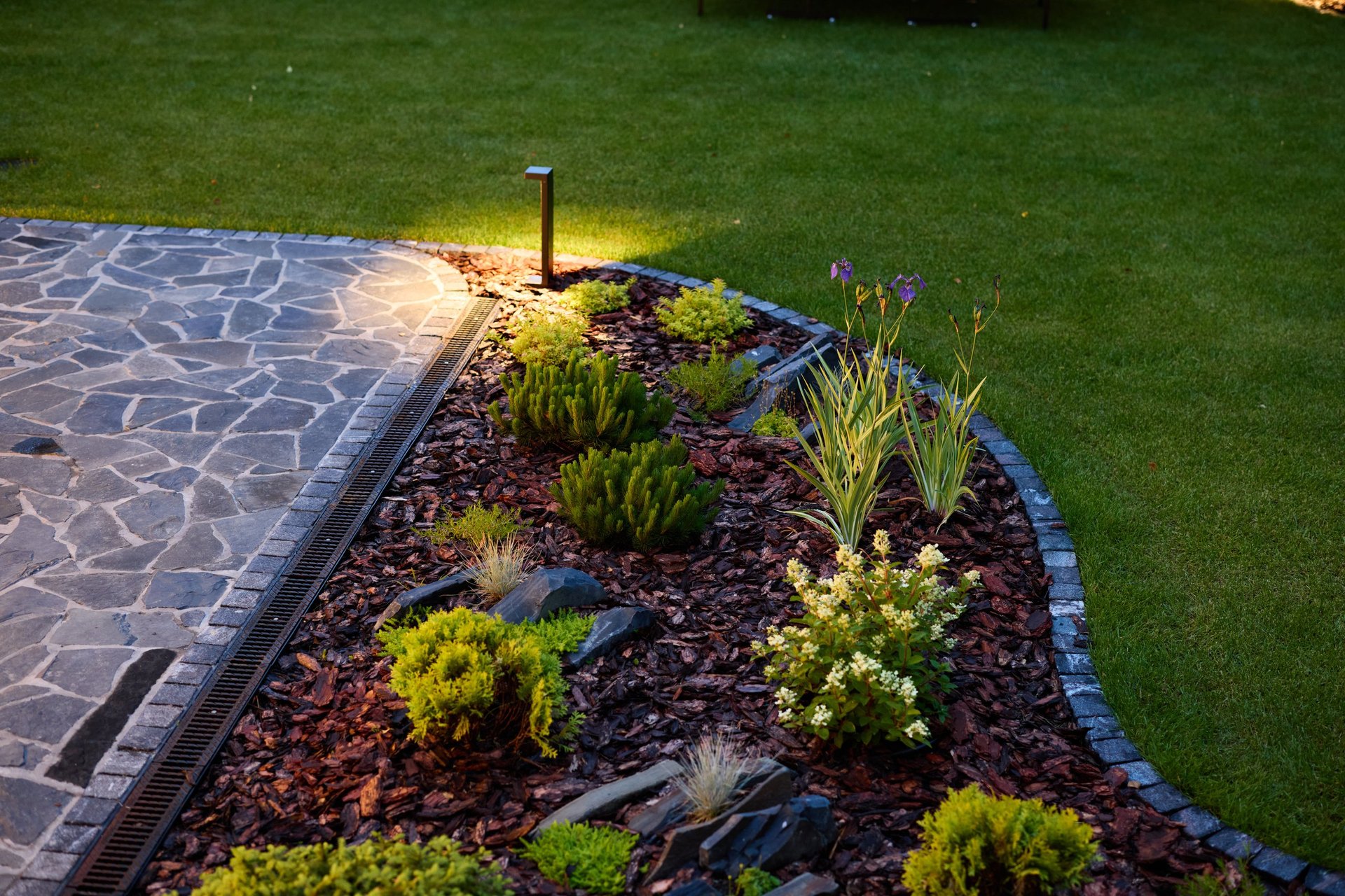 Beautiful garden with creative lighting at night