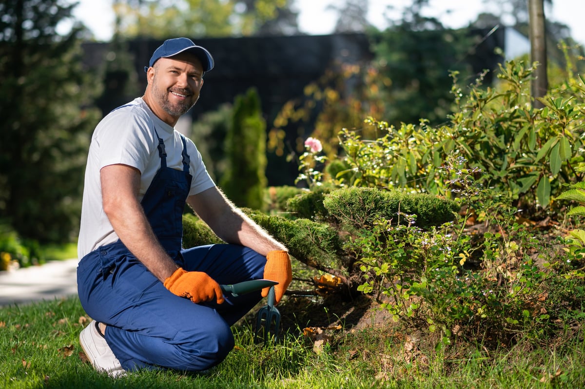 Gardener working on lawn